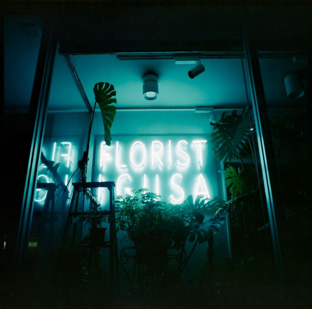 http://upload.mnw.cn/2025/0828/1756379773981.jpg
